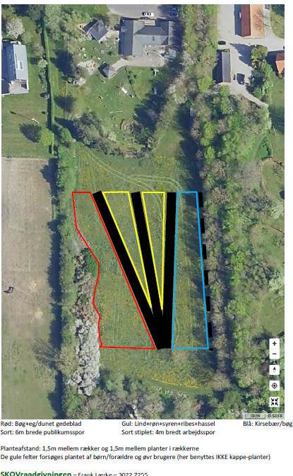 Planen for beplantning i kirkeskoven